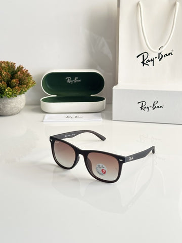 Rayban_n 4391 Brown